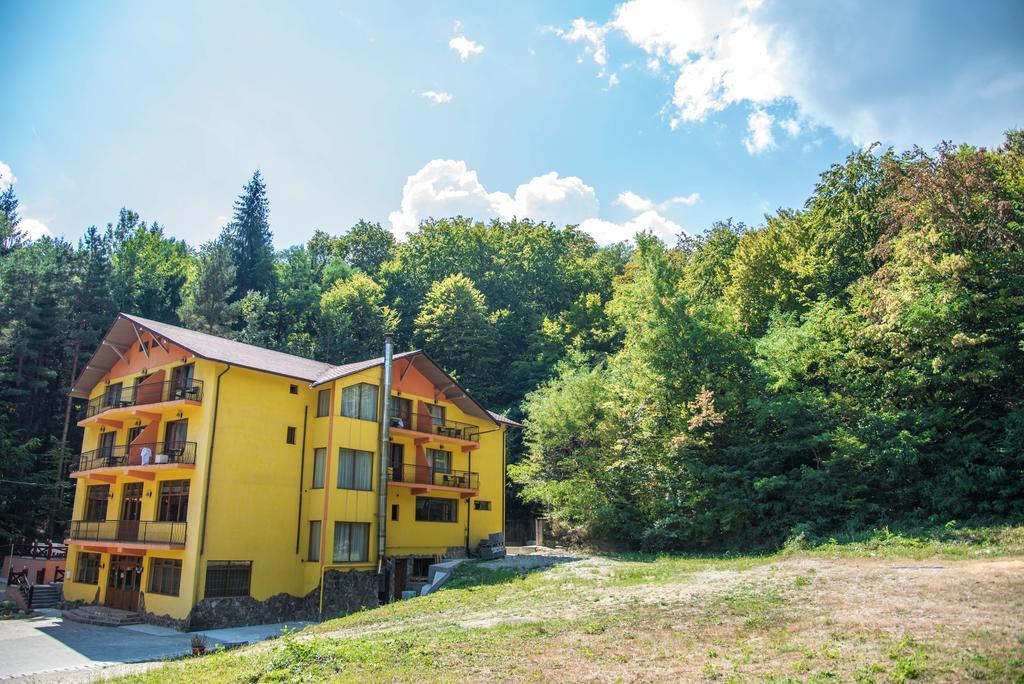 Hotel Trei Brazi Băile Olăneşti Dış mekan fotoğraf