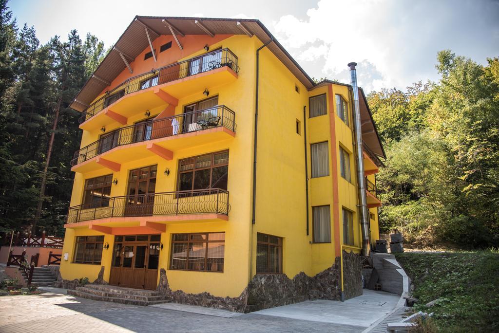 Hotel Trei Brazi Băile Olăneşti Dış mekan fotoğraf